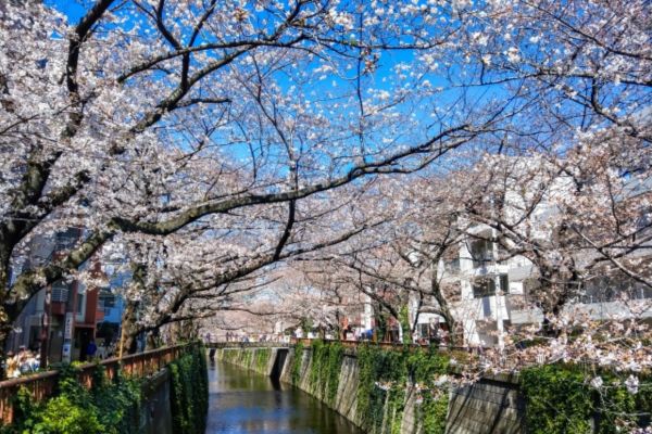 目黒のお土産おすすめ5選 | 目黒でしか買えないお菓子や人気の手土産を紹介！